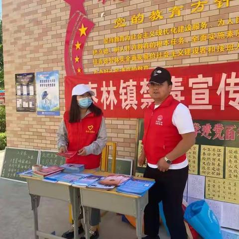 全民禁毒创建美丽健康乡村——枣林镇开展毒品预防进校园活动