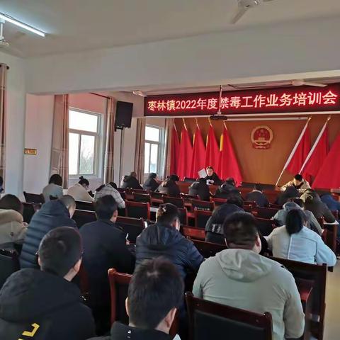 枣林镇人民政府禁毒工作业务培训会