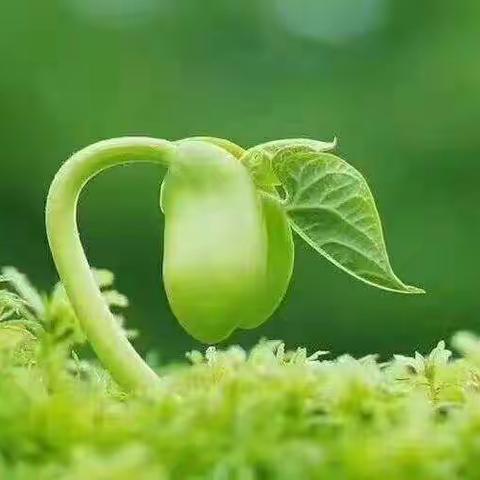 疫情之下的幼小衔接