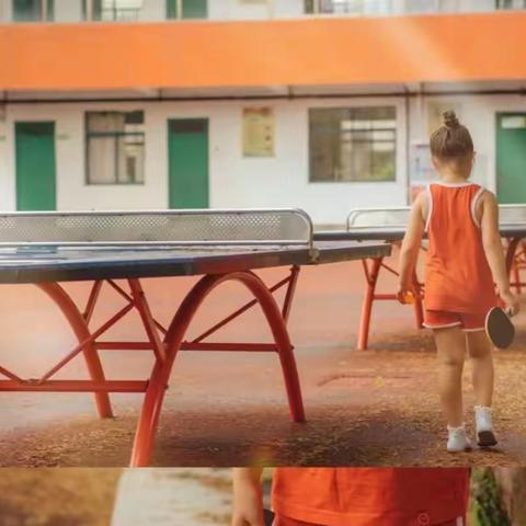 乒乓球🏓