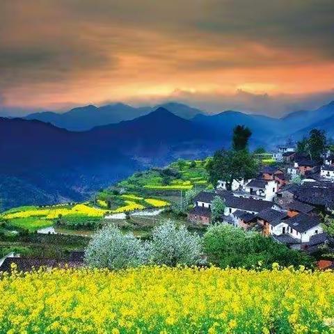 3月16日，【黄山+九华山+千岛湖+婺源】双卧7日游