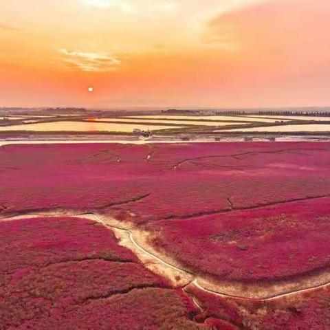 《赏红海滩不必去盘锦，来、让我们一起亲近身边的“炽焰”…》