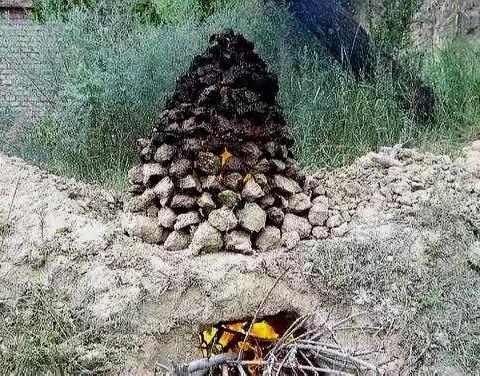 回味青少烤土豆（新）