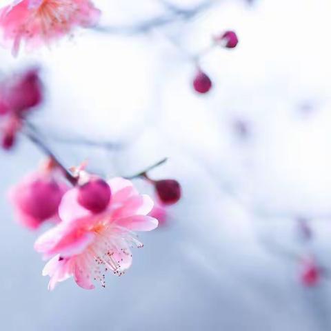 【停课不停学，我们共成长】————周庄五年级❤️❤️