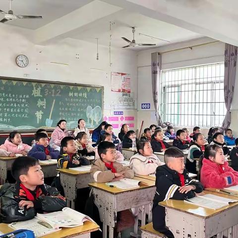 示范引领共成长，“双减”提质在课堂——桐木镇莲台小学公开课观摩活动