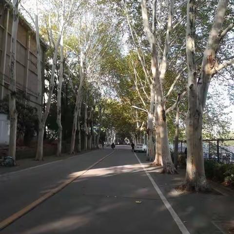 专家讲座，如沐春风——国培第五天