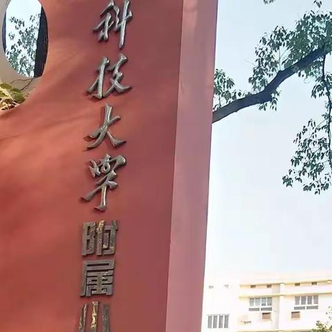 合作策略下的有效合作学习——国培第二天