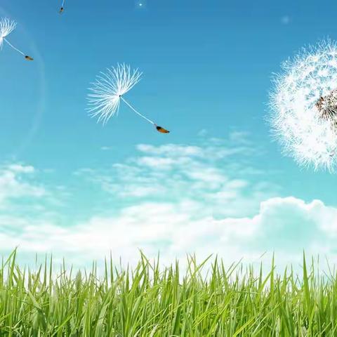 南州小学三年级语文组3月第一周