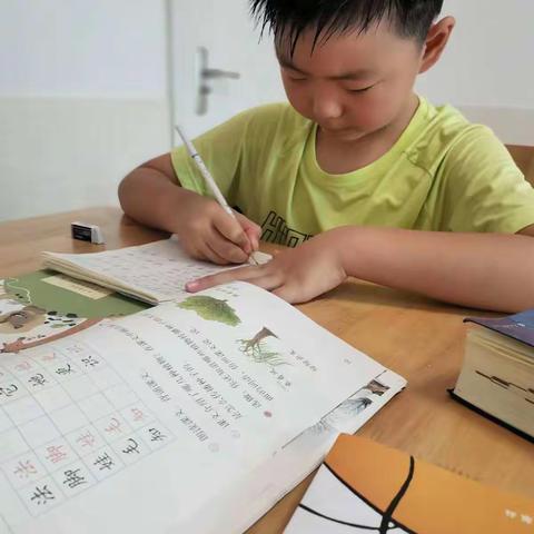 崔李耀多彩得暑期生活