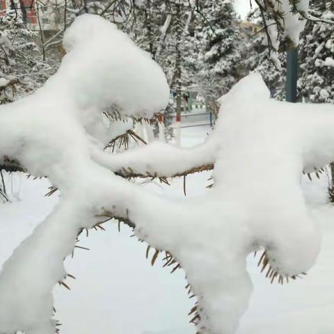 三月瑞雪 恩泽丰年