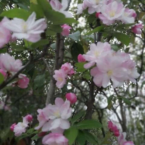 和春天来个约会