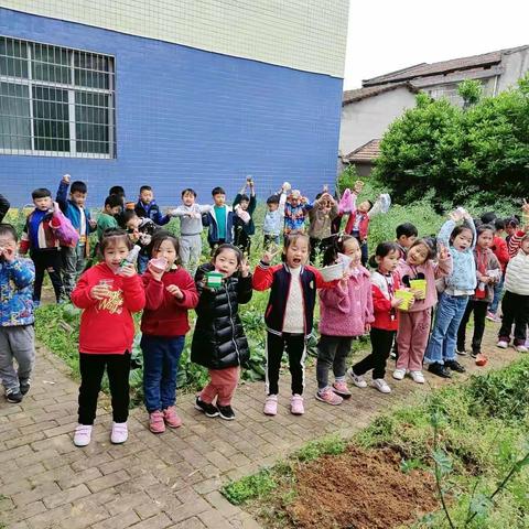 春雨绵绵，静待繁花似锦——九二二医院幼儿园大二班实践活动