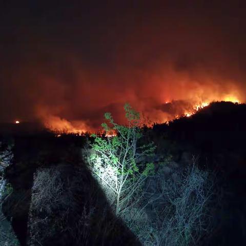 3天4夜丨即墨区森林消防救援站圆满完成跨区域增援三标山火灾现场任务