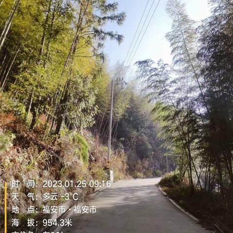社口所1月25日对晓阳镇高海拔线路开展线路防覆冰检查未发现异常