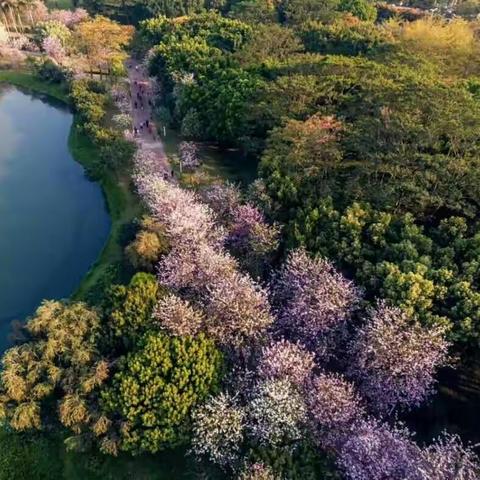 阳春三月，情暖三四班