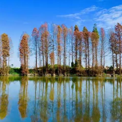 沙溪滨河公园——龙头环村——圣狮村（美食）漫步“网红”绿道滨河公园拥抱绿色沙溪