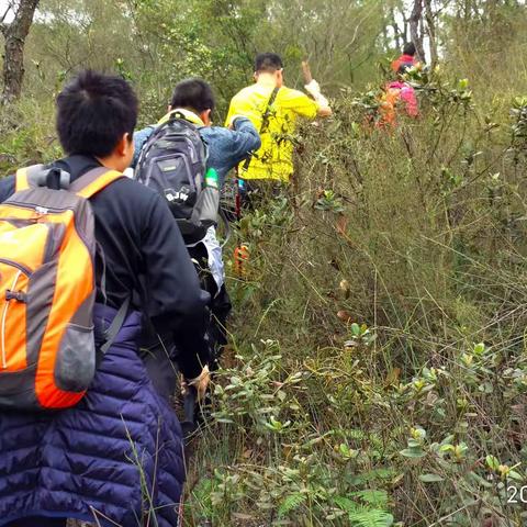 难忘一起徒乐的时光（八）