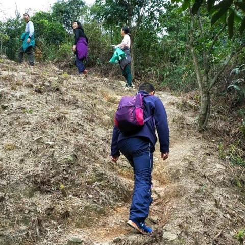 难忘一起徒乐的时光（四）