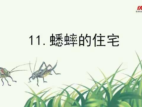 又见那只蟋蟀——记四年级语文教研组听评课活动