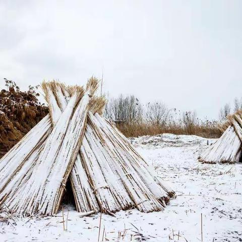 春雪/图文/心旅行