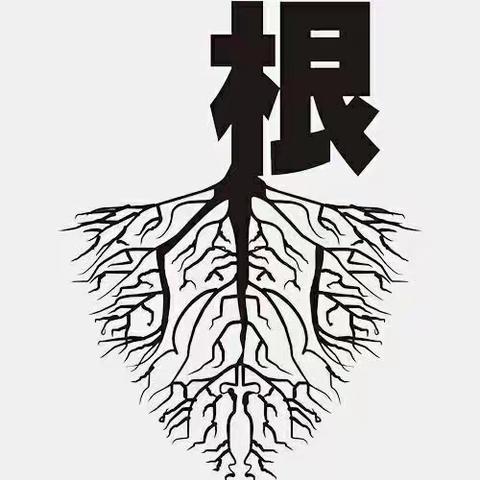 扎根