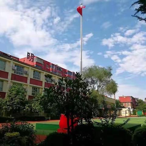 西工区黎明小学数学综合与实践主题活动之三——五年级《折线统计图》