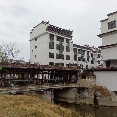 迎接女王节的到来，3月6日五朵金花踏上邵武寻花追梦。