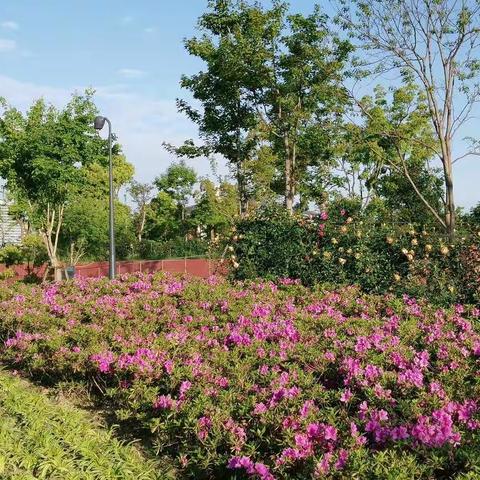 遊天池山、花山。