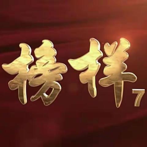 向榜样致敬，要学更要行——三亚市吉阳区干沟小学党支部收看《榜样7》专题节目