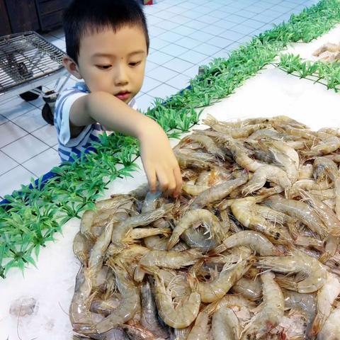鲜虾米饼                                                    大二班杨思铄