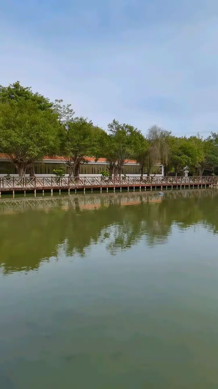 沙溪黄河宝树园203.12.10