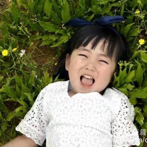 小宝贝