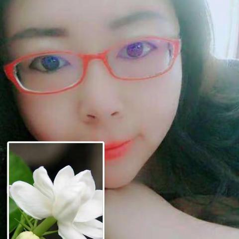 我是一朵茉莉花