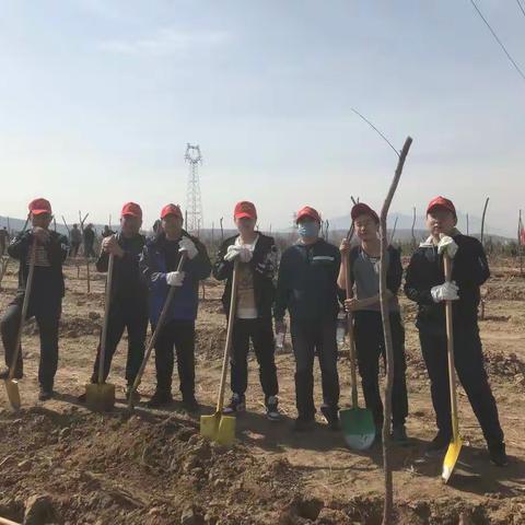 宣化排水参加全区义务植树活动