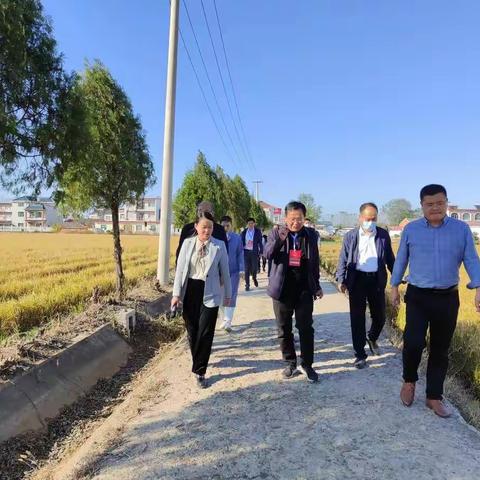 县人大常委会副主任高官清带队到河凤桥乡视察新型农业主体发展情况