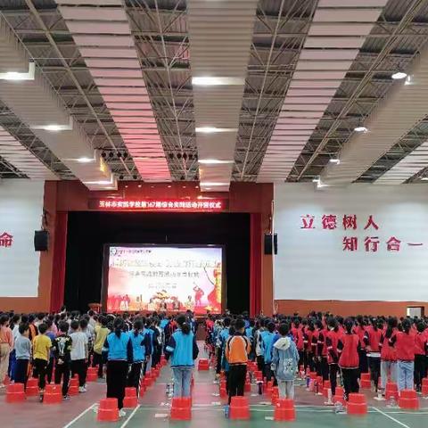 不负“双减”好时光，综合实践促成长——石小娃综合实践掠影