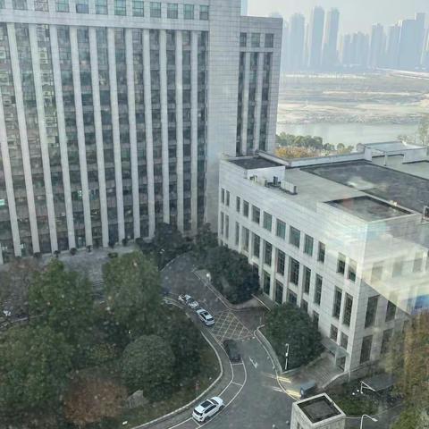 冬已至，春将来，阳康之路不漫长