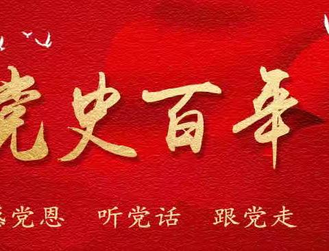 审计部党支部召开党史学习教育专题民主生活会暨支委组织生活会