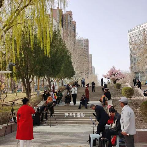 薛泽华心理养育