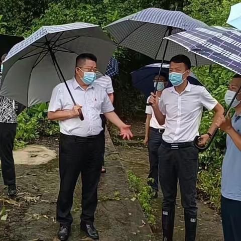 县人大主任陈明永赴龙河镇开展巡河工作