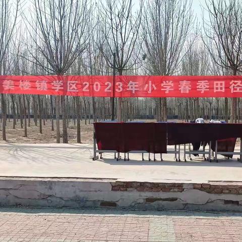 雄鹰翱翔的美篇