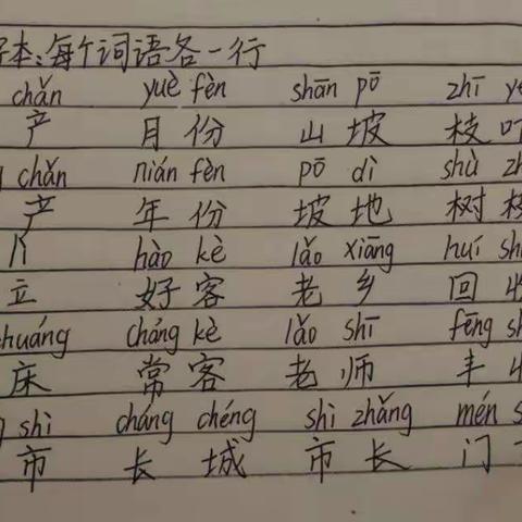 知识梳理