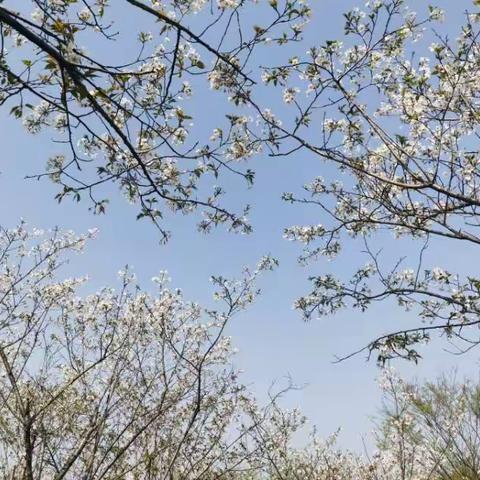 靠近光 追逐光 成为光  ②
