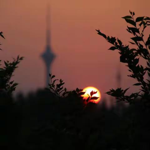 《早上好》集202307