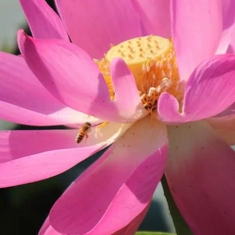 《早上好》集202306