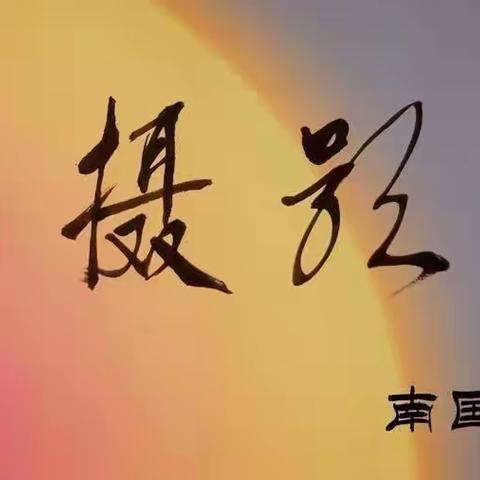 摄影园地第四期