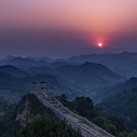 欣赏桃园异树老师佳作