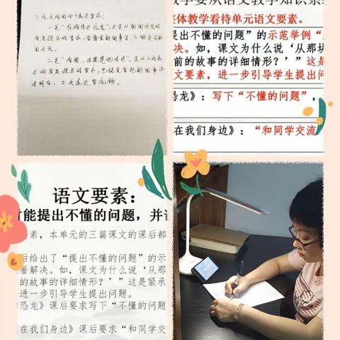 海口市灵山镇美庄小学语文科教研活动（二）