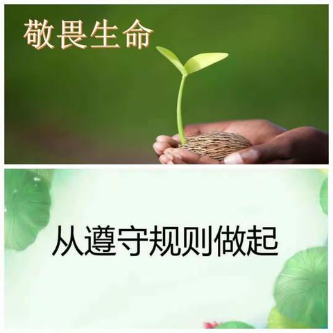新区实验小学一（1）班第六期线上读书活动《不输在家庭教育上》--这件事再不教孩子就晚了