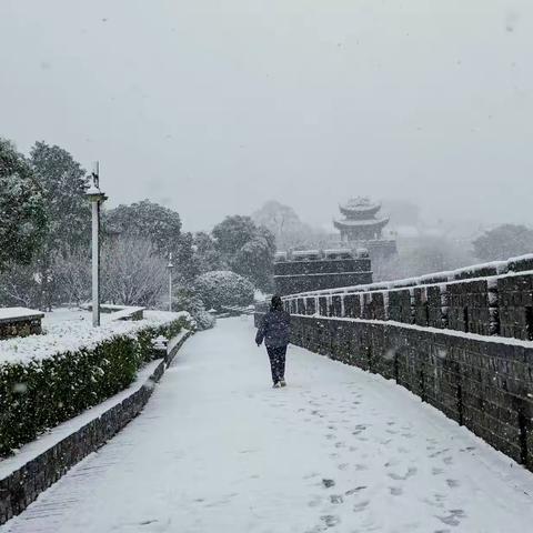 巧遇岳阳雪飘